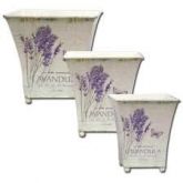 Vaso Lavanda